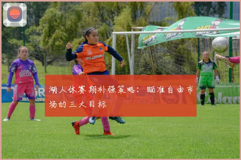 湖人休赛期补强策略：瞄准自由市场的三大目标