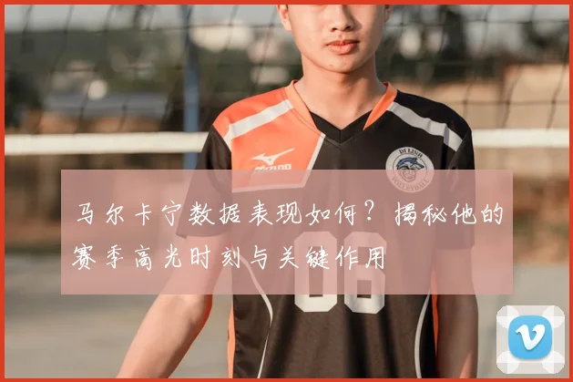 马尔卡宁数据表现如何？揭秘他的赛季高光时刻与关键作用